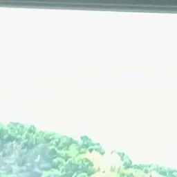 GreenFlag9302의 유민석