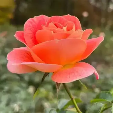 Profile image of 제타 모두 환영.