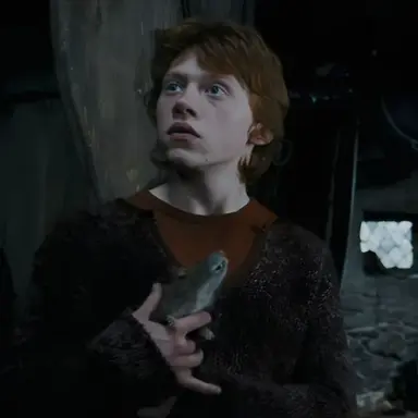 Profile image of Ron
