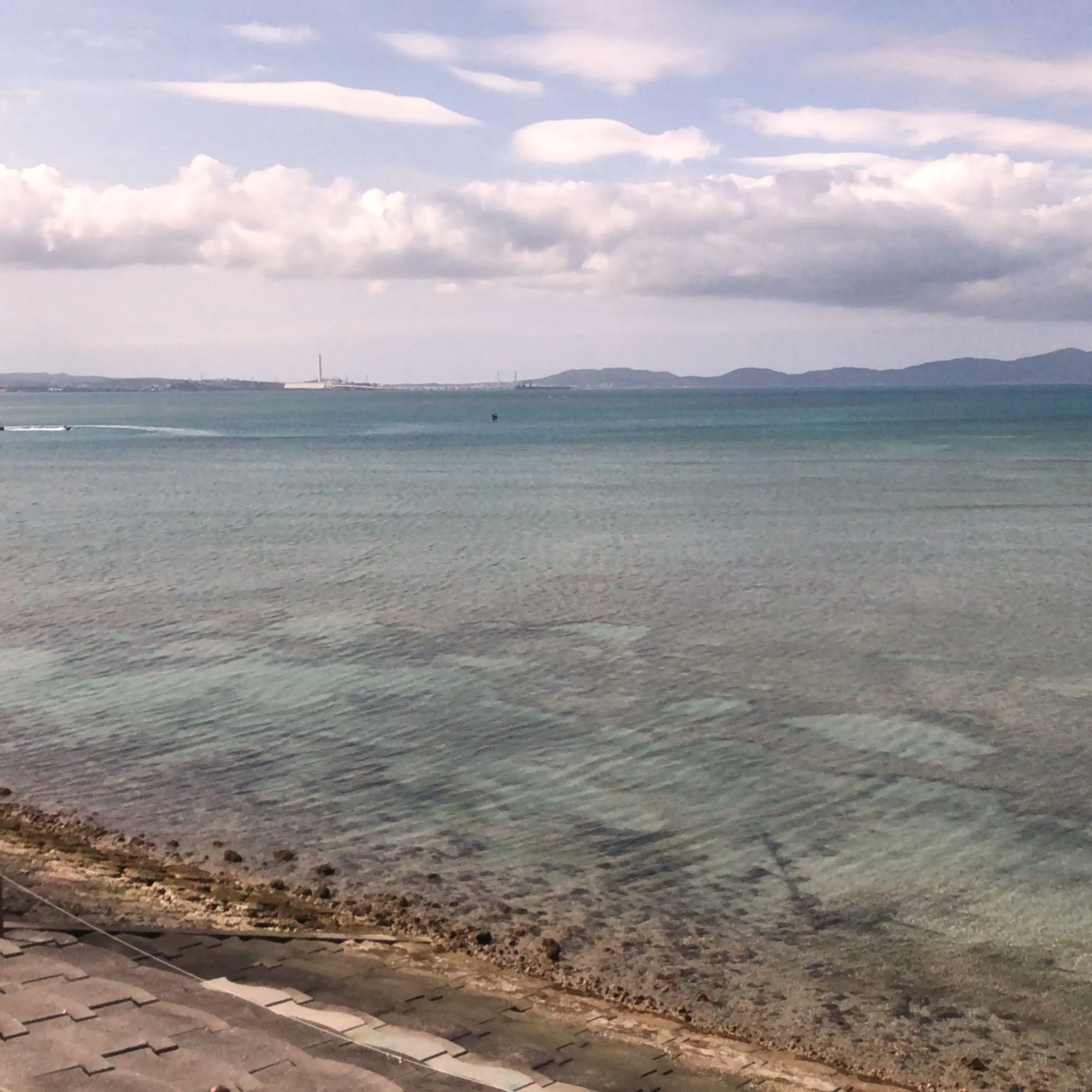 Ran_WSAnoYOME의 宮葱さーーん！！！