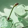 Profile image of 拓弥