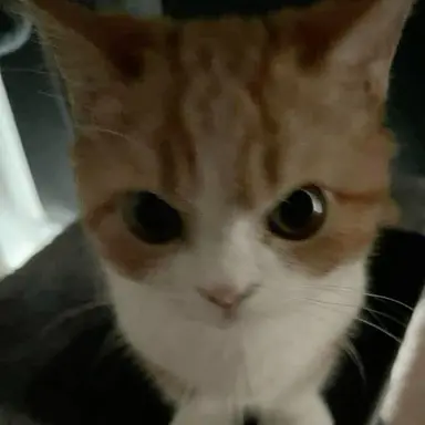 Profile image of 김규빈