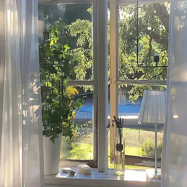 Profile image of 백현