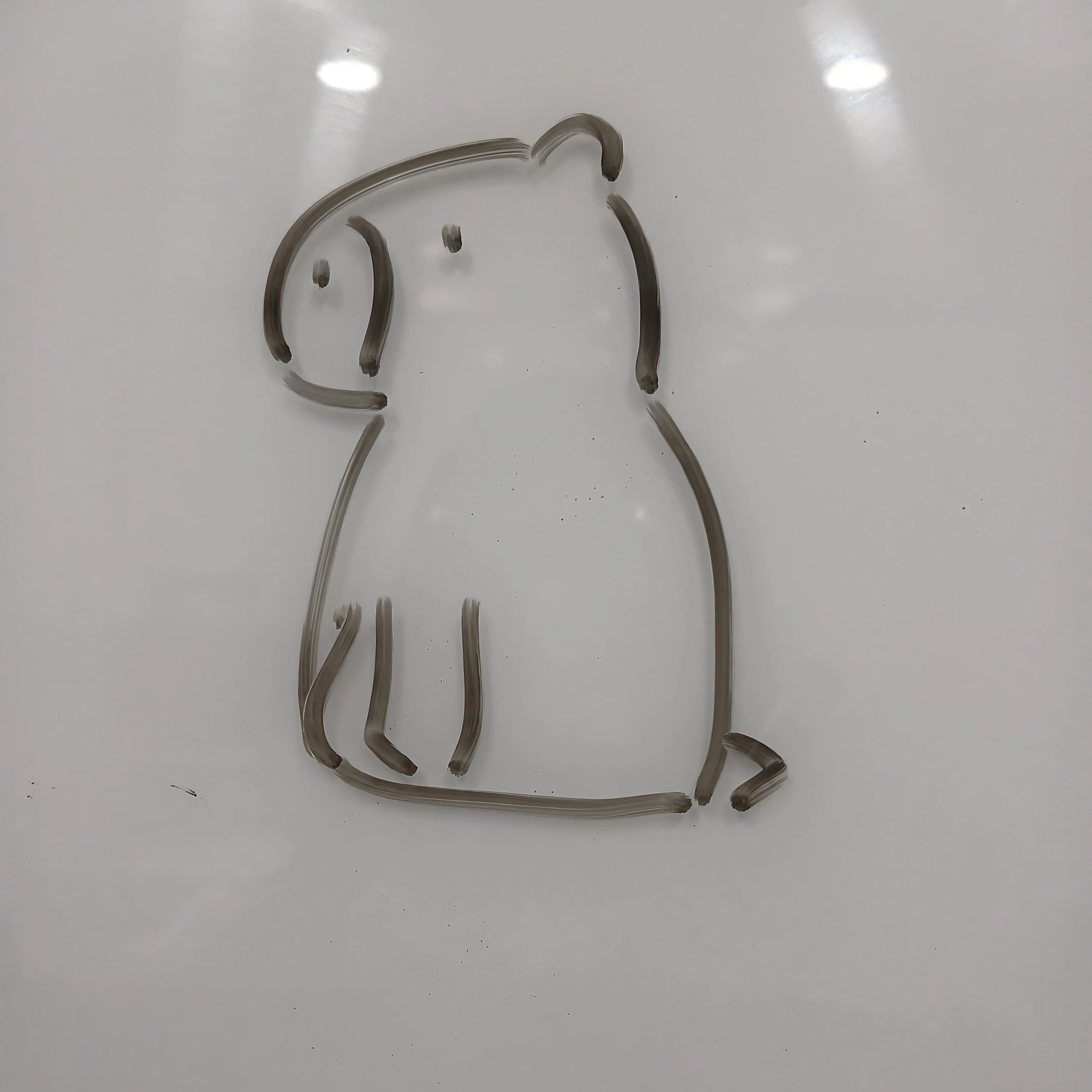 솔방울