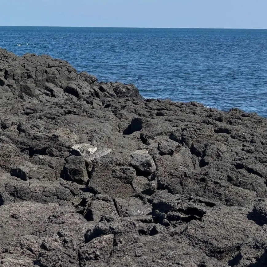 MaroonPig9689의 사랑한다며