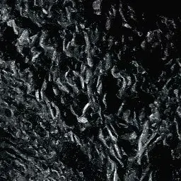 memobin의 박원빈