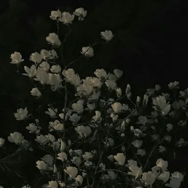 Profile image of 김각별