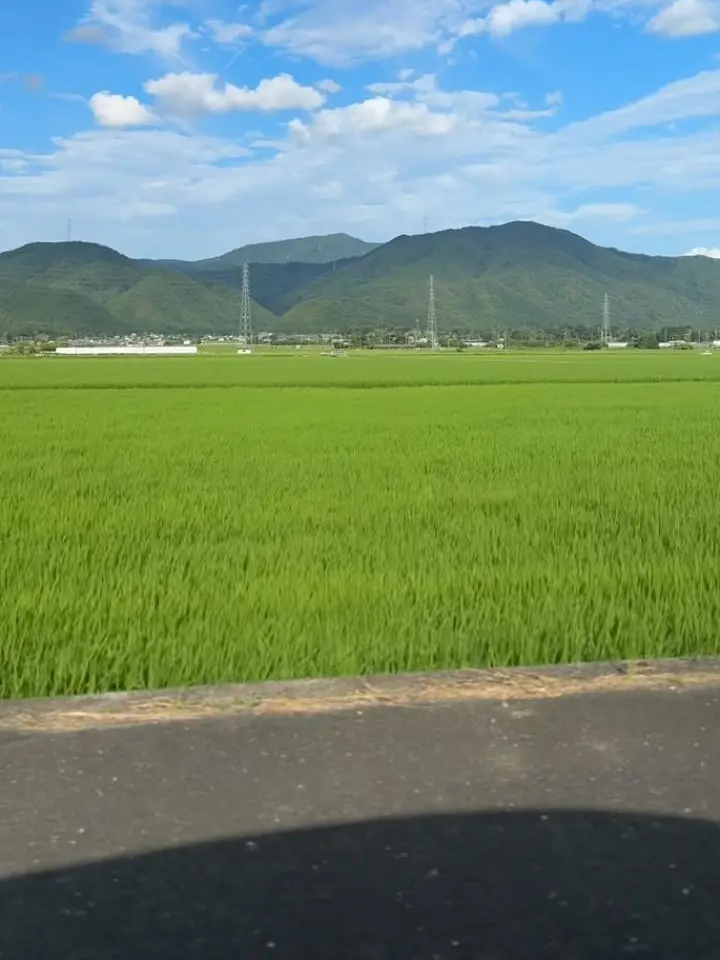 QuietBoas1069의 幼なじみのこと好きになっちゃた😵‍💫