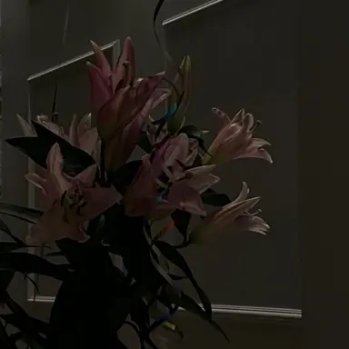 Profile image of 나루미 겐