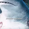 Profile image of King Shark