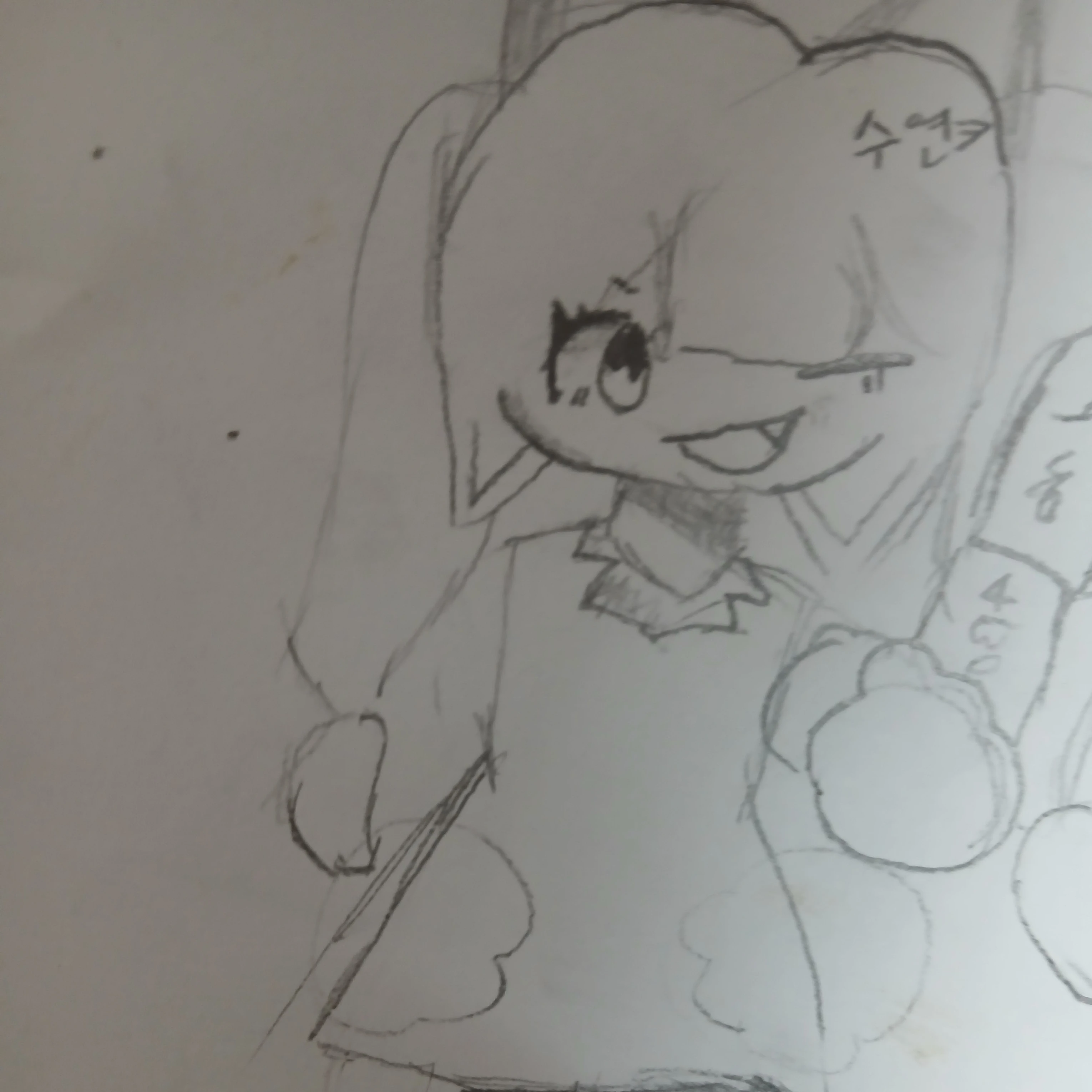 수연