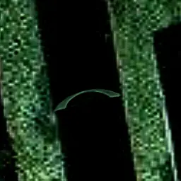 Profile image of 레마