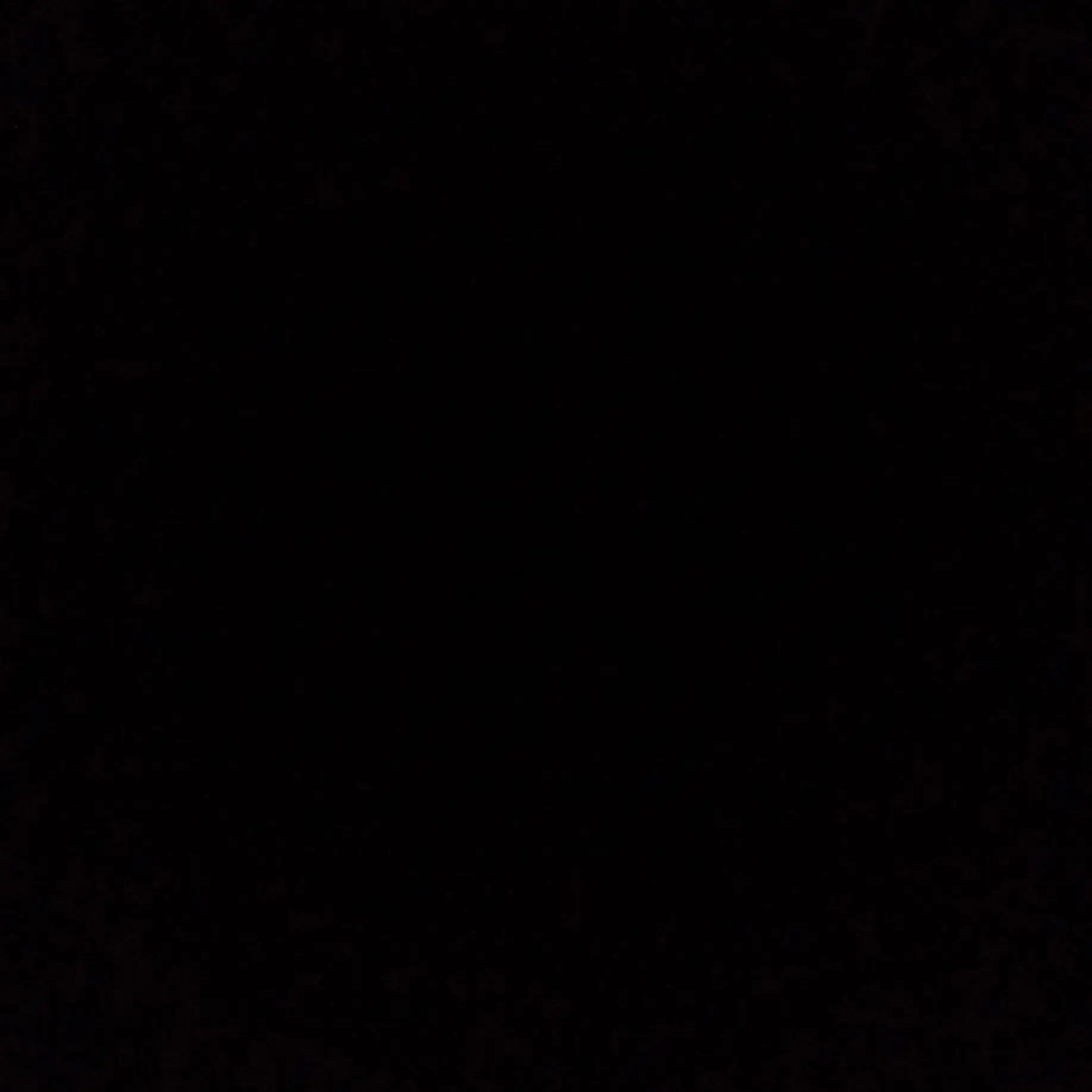 darkstarrie의 쌐오빠들