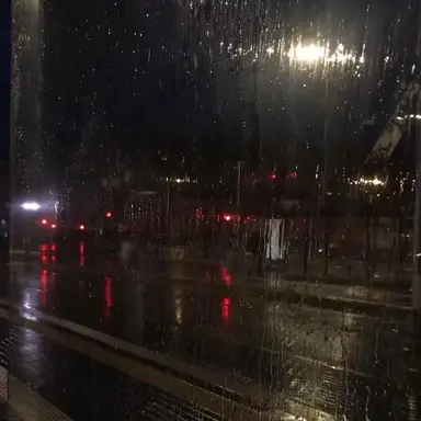 Profile image of 정공룡