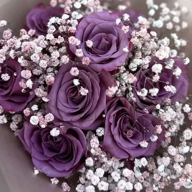 Profile image of 퍼블