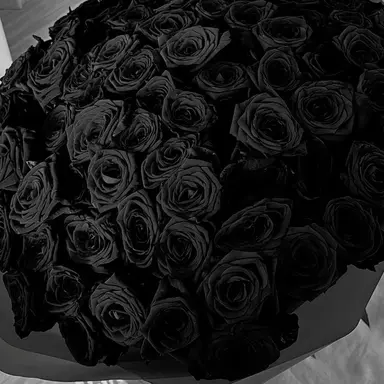 Profile image of 블랙