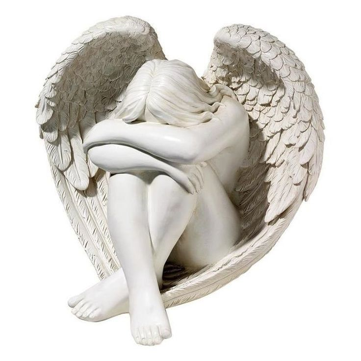 🕊 대표 이미지