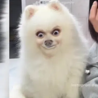 Profile image of 늑대현