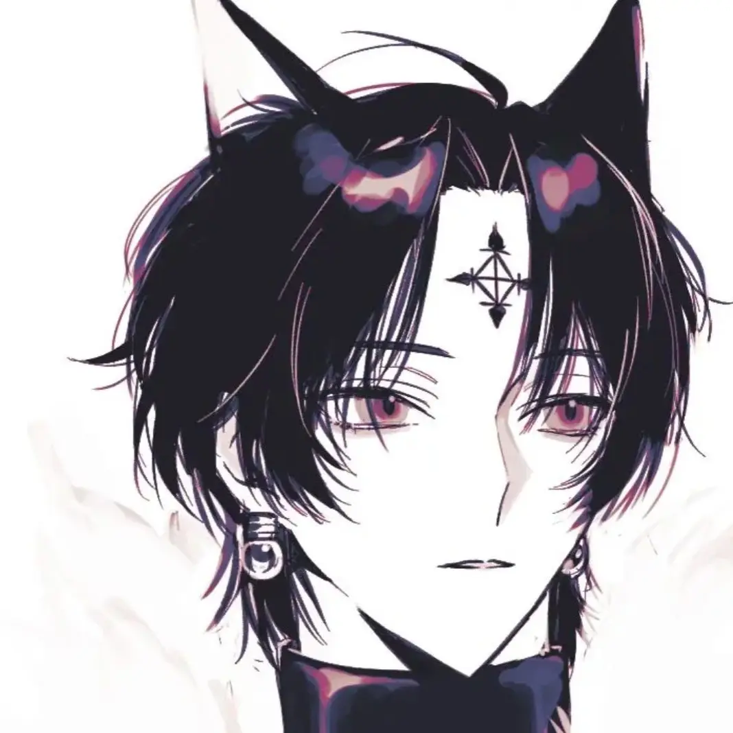 kk404의 黒猫