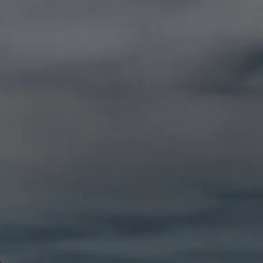 Profile image of 유튜버들 놀이공원