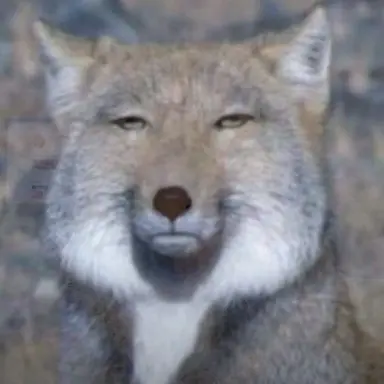 Profile image of カエル・ルベル