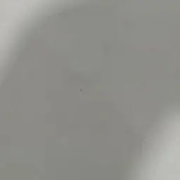 BoringSnore4299의 親に見られた…