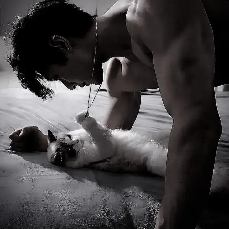 DenseGuest8744의 Elias---Roomate