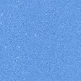 Profile image of 잠뜰