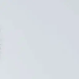 Profile image of 덱스