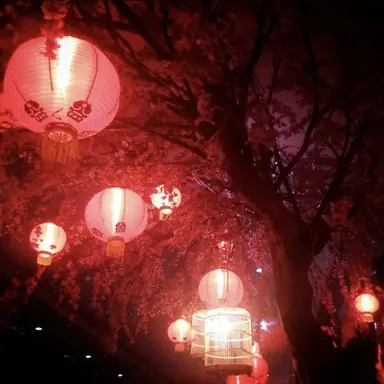 Profile image of 플래그