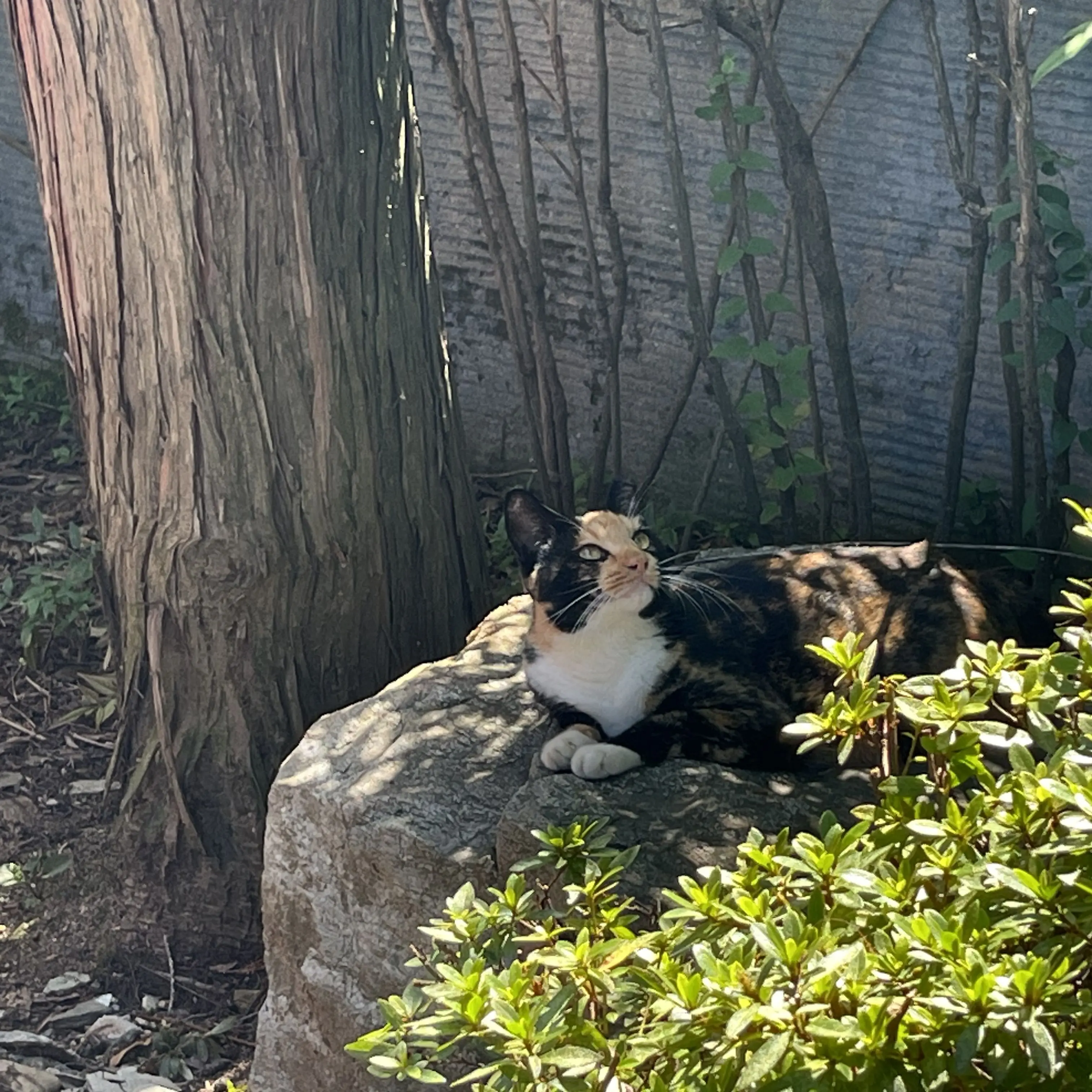 Sleepyhead1206의 루이쨘 [남편]