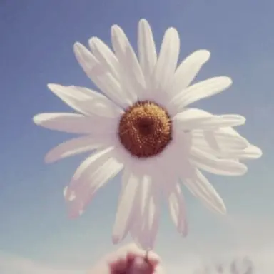 Profile image of 박시우