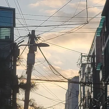 Profile image of 최이강