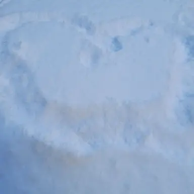 Profile image of 노유승