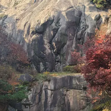 Profile image of 곽도헌