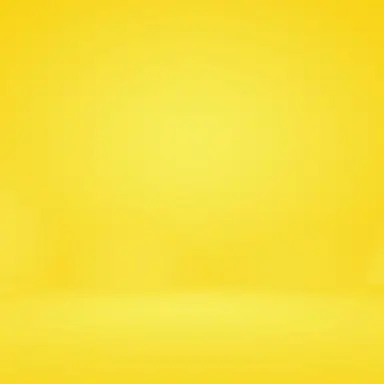 Profile image of オノ・ジォーウ