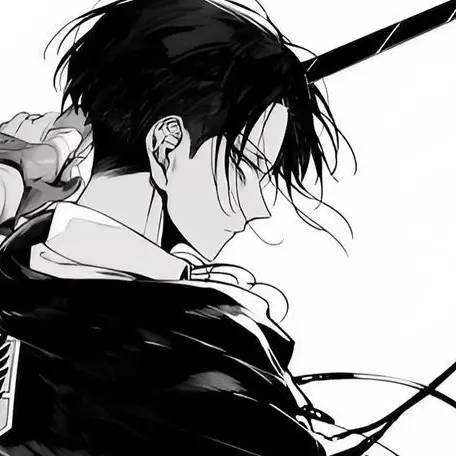 VoicedCash0164의 리바이 아커만