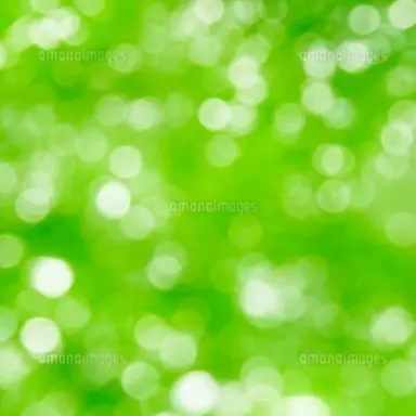 Profile image of 阿部