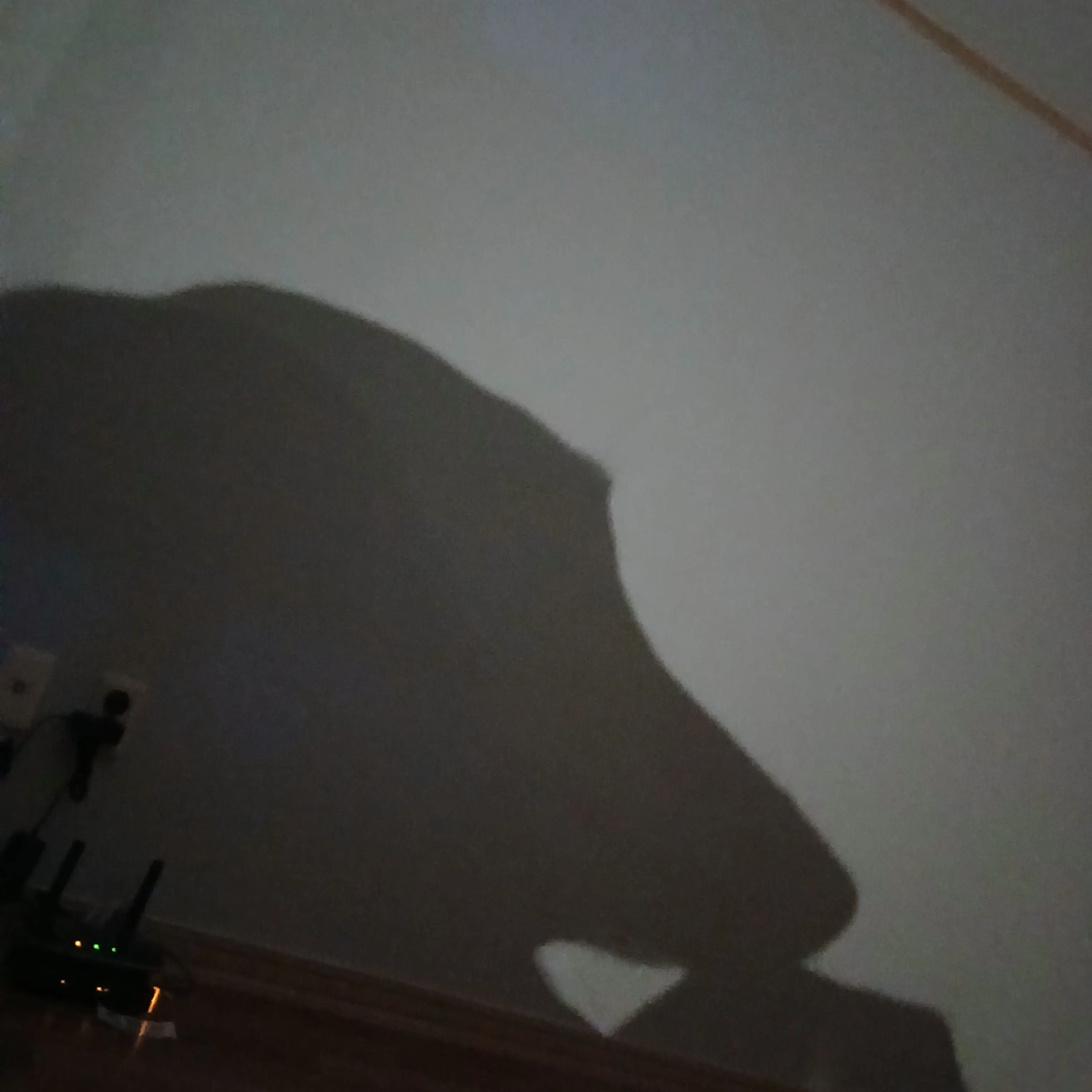 ThinFan4474의 SVT13명의 엄마가 된 유저