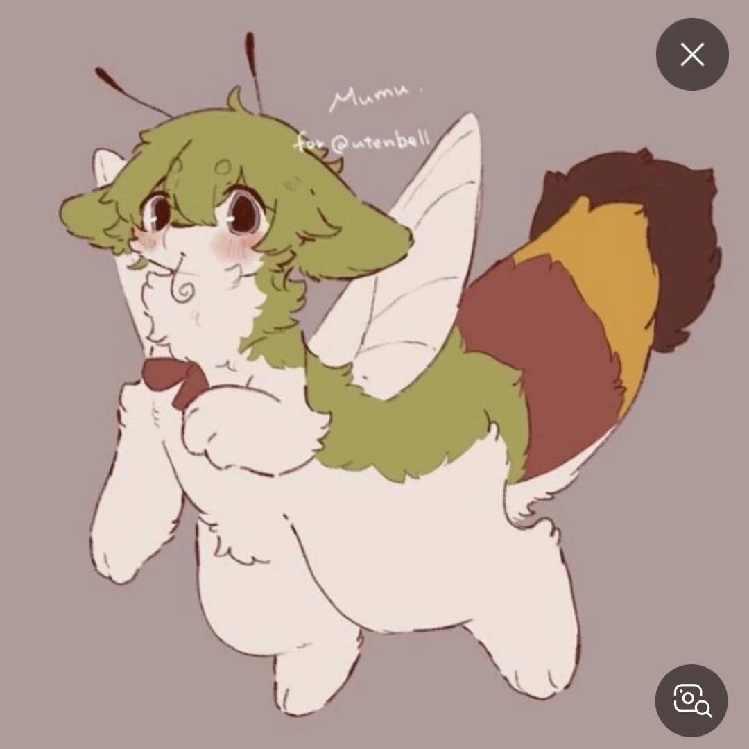 메르시