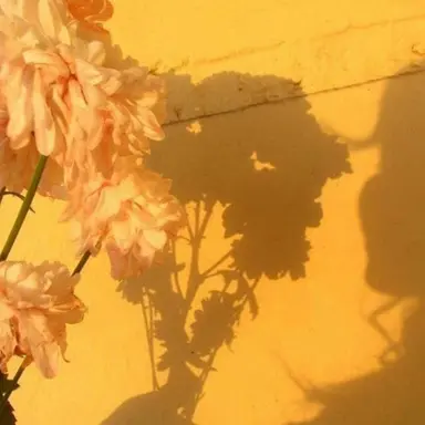 Profile image of 준브레드