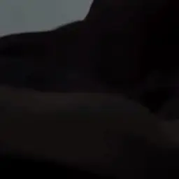 FoulSled3661의 ㄱㅇㅎ