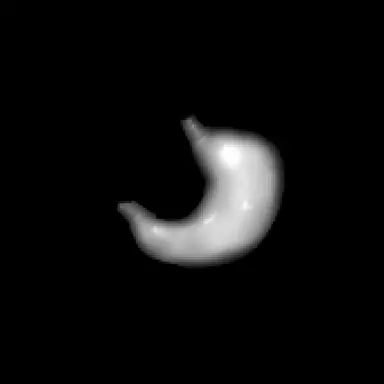Profile image of Lungen