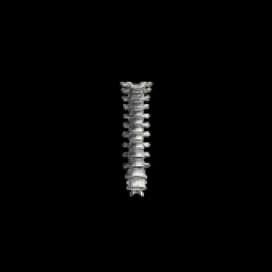 Profile image of Wirbelsäule