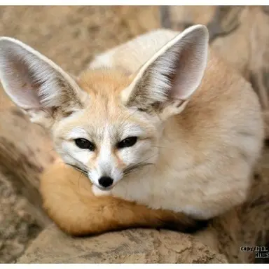 Profile image of 김지우