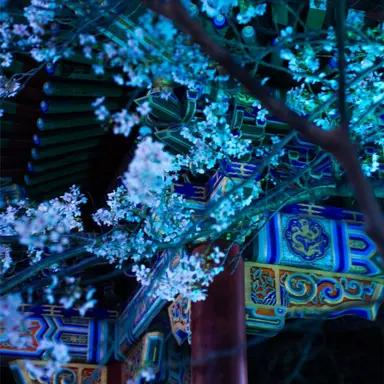 Profile image of 파이브