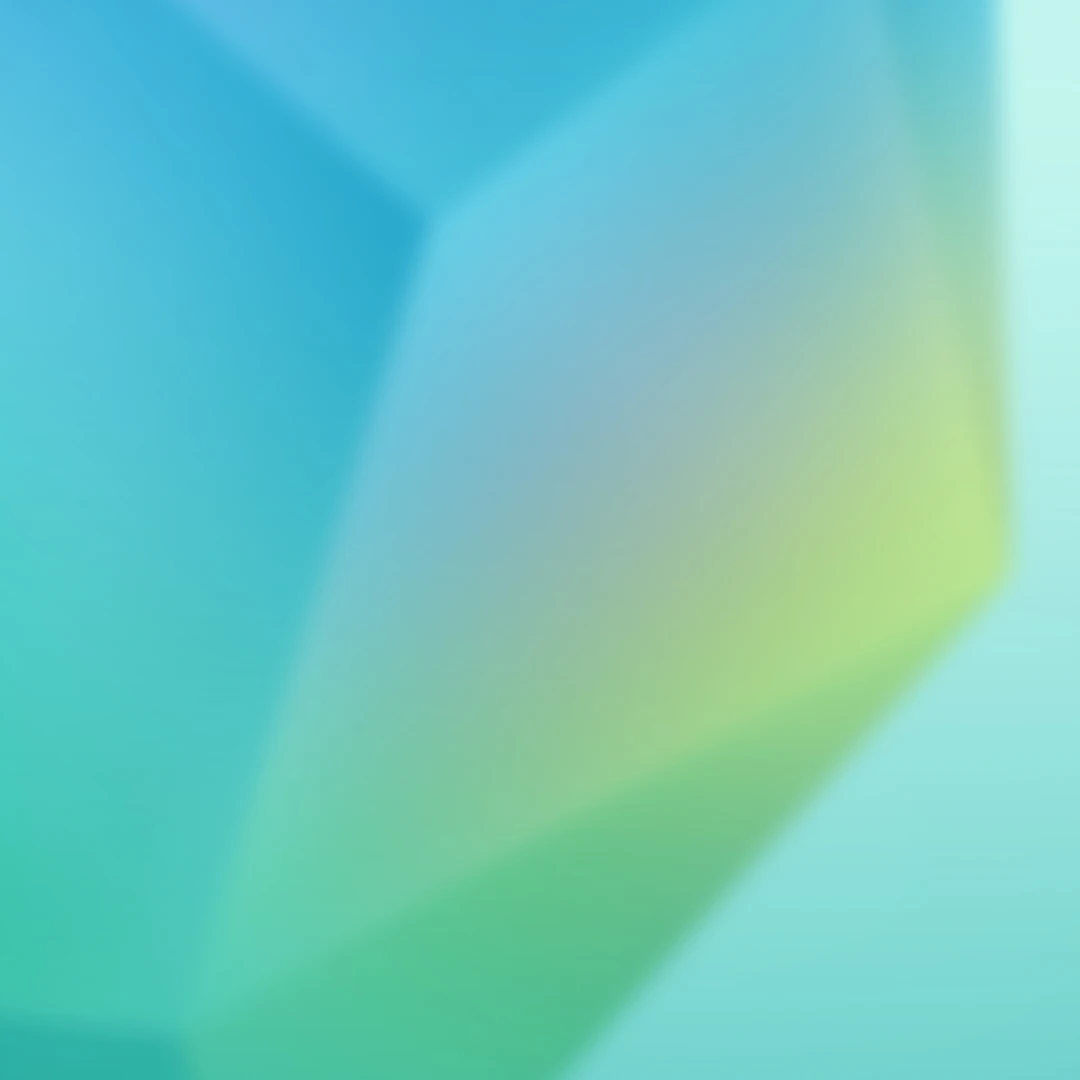 리즈
