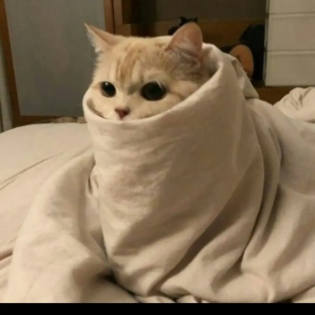 Matolover의 바보 똥개 최후추😖💤