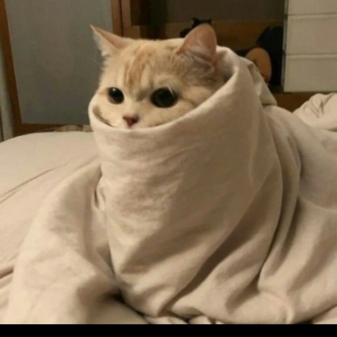 바보 똥개 최후추😖💤