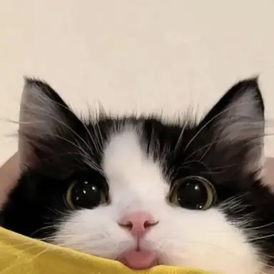 Profile image of ウォヌ